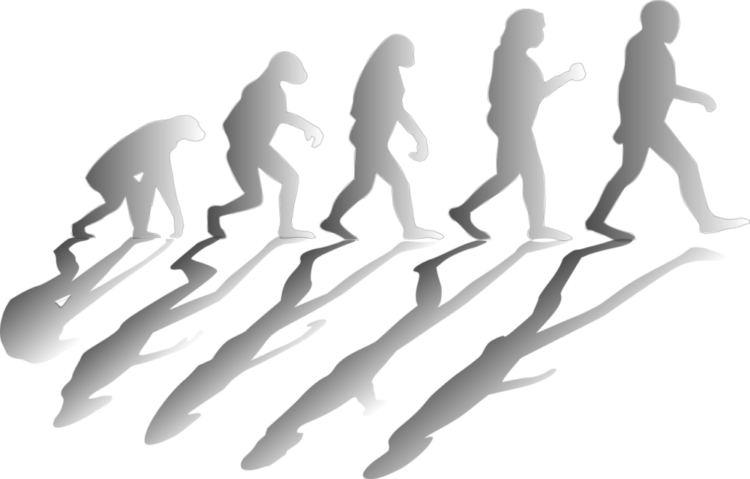 進化論から考える直立二足歩行の成り立ち